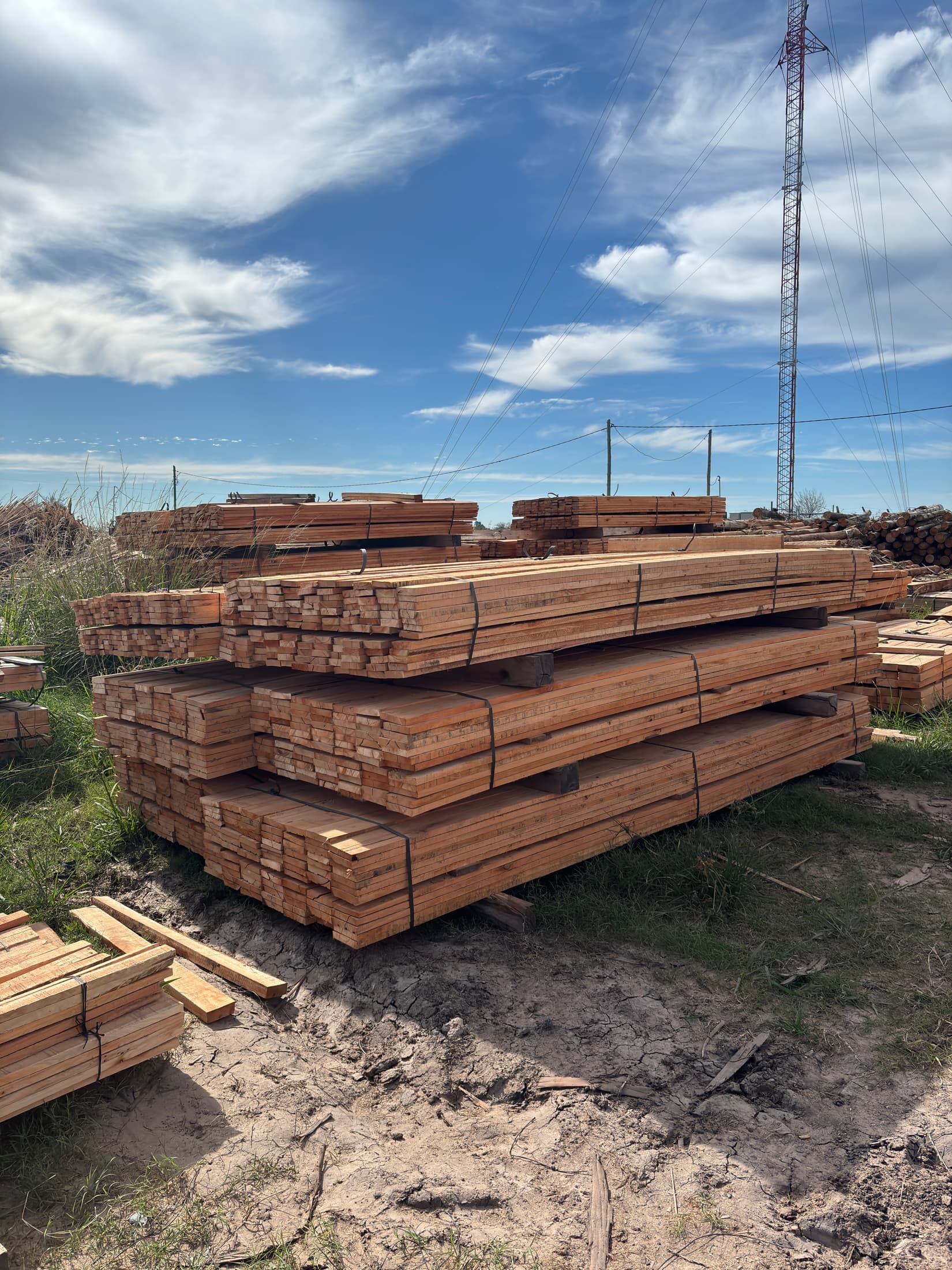 Tablas largas de eucaliptus saligna