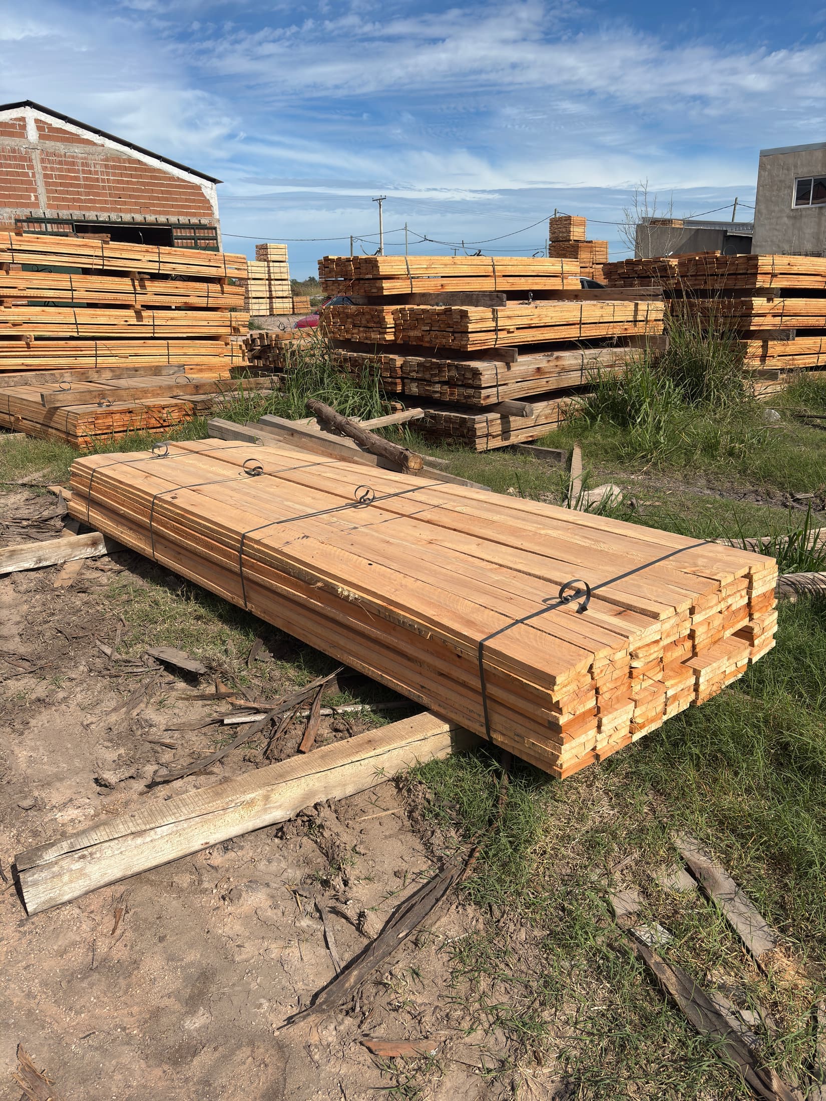 Tablas largas eucaliptus saligna